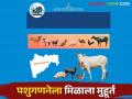 Pashu Ganana 2024 : २१ वी पशुगणनेला २५ ऑक्टोबरपासून होणार सुरवात पशुपालाकांनी खरी माहिती द्या - Marathi News | 21st livestock census will start from 25th October please farmers give real information | Latest agriculture News at Lokmat.com