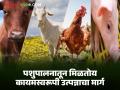 Pashupalan Yojana : ग्रामीण तरुणांसाठी गेमचेंजर ठरतेय पशुपालन योजना; जाणून घ्या सविस्तर - Marathi News | latest news Pashupalan Yojana: Animal husbandry scheme is becoming a game changer for rural youth; Know the details | Latest agriculture News at Lokmat.com