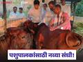 Dairy Farmers : 'एक गाव – एक फार्म’ संकल्पनेला गती; आधुनिक दुग्धउद्योगाला नवी दिशा - Marathi News | latest news Dairy Farmers: Accelerating 'One Village – One Farm' concept; New direction for modern dairy industry | Latest agriculture News at Lokmat.com