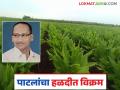 पाटलांनी हळदीत केला विक्रम; ६० गुंठ्यांत घेतले ४५ क्विंटल हळदीचे उत्पादन - Marathi News | Farmer Patil made a record in turmeric; Production of 45 quintals of turmeric taken in 60 guntha area | Latest agriculture News at Lokmat.com