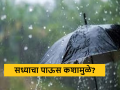 Maharashtra Rain Update : सध्याचा पाऊस कशामुळे अन् ऑगस्ट महिन्यात पाऊस कसा असेल? जाणून घ्या सविस्तर  - Marathi News | Latest News Maharashtra Rain Update current rain and how will the rain be in August Know in detail  | Latest agriculture News at Lokmat.com
