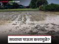 Maharashtra Rain : सध्या पाऊस कशामुळे पडतो आहे, तो किती तारखेपर्यंत राहणार, वाचा सविस्तर - Marathi News | Latest News Maharashtra Rain Rain due to formation of severe low pressure area in Arabian Sea | Latest agriculture News at Lokmat.com