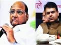 Maharashtra election 2019 :रेवडी पहिलवानाशी कुस्ती खेळत नाही - Marathi News | Maharashtra election 2019: does not play wrestling with weak opponent : Sharad Pawar | Latest pune News at Lokmat.com
