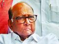 आज शरद पवार नागपुरात  : राजकीय वर्तुळाचे लक्ष - Marathi News | Sharad Pawar today in Nagpur: the focus of the political circle | Latest nagpur News at Lokmat.com