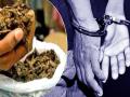 पिंपरी-चिंचवडमध्ये जप्त केला 3 किलो गांजा; एकाला अटक - Marathi News | 3 kg of cannabis seized in pimpri chinchwad one arrested | Latest pimpri-chinchwad News at Lokmat.com