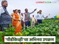 Soybean Varieties Research : व्हेरायटल कॅफेटेरिया : शेतकऱ्यांसाठी सोयाबीन वाणांचा अमरावतीत नवा प्रयोग वाचा सविस्तर - Marathi News | latest news Soybean Varieties Research: Varietal Cafeteria: New experiment in Amravati with soybean varieties for farmers Read in detail | Latest agriculture News at Lokmat.com