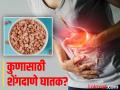 'या' ५ समस्या असलेल्यांनी चुकूनही खाऊ नये शेंगदाणे, जाणून घ्या होणारे गंभीर नुकसान! - Marathi News | 5 people should not eat peanuts know the side effects | Latest health News at Lokmat.com