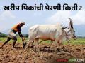 Kharif Sowing : खरीप पिकांची पेरणी क्षेत्र 378 लाख हेक्टरवर, वाचा कुठल्या पिकाची पेरणी किती?  - Marathi News | Latest news Kharif crops sowing area is 378 lakh hectares, read how much of which crop is sown | Latest agriculture News at Lokmat.com