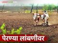 Kharif Season : पावसानं केला खेळ, जमिनीत ओलावा, वाफसा धरण्यास वेळ, पेरण्या लांबणीवर  - Marathi News | Latest news kharif Season Sowing delayed due to unseasonal rains, pre-monsoon rains | Latest agriculture News at Lokmat.com