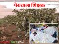 शिक्षक पदाला रामराम केला, पेरूमधून मालामाल झाला - Marathi News | The teacher's came in farming; get good income from guava fruit orchard | Latest agriculture News at Lokmat.com
