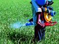 शेतकरयांचे मृत्यू कीटकनाशकामुळे झालेच नाहीत! - Marathi News | Farmers did not died due to pesticide! | Latest nagpur News at Lokmat.com