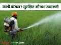 शेतकऱ्यांनो पिकांवरील अशी औषध फवारणी ठरू शकते जीवघेणी; कशी घ्याल काळजी? - Marathi News | Farmers, spraying such chemicals on crops can be life-threatening; how can you take precautions? | Latest agriculture News at Lokmat.com