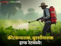 Pesticide Subsidy : पीकसंरक्षणासाठी सरकारची मोठी मदत; आजच करा अर्ज वाचा सविस्तर - Marathi News | latest news Pesticide Subsidy: Government's big help for crop protection; Apply today, read in detail | Latest agriculture News at Lokmat.com