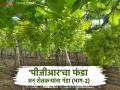 शेतकऱ्यांच्या सल्लागारांना कंपनीकडून मिळते २० टक्के मलई; कशी पाहूया सविस्तर - Marathi News | Farmers advisors get 20 percent profit from the company; Let's see how in detail | Latest agriculture News at Lokmat.com