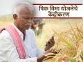 Pik Vima Yojana : पीकविमा योजनेचे केंद्रीकरण; कापणी प्रयोगात गोंधळ अटळ, वाचा सविस्तर  - Marathi News | Latest News Centralization of crop insurance scheme; Confusion inevitable in harvesting experiment, read in detail | Latest agriculture News at Lokmat.com