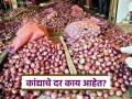 Kanda Market : लासलगाव, सोलापूर बाजारात कांदा बाजार बदलले, वाचा आज काय दर मिळाला?  - Marathi News | latest news Kanda Market Onion market changed in Lasalgaon, Solapur markets, see details | Latest agriculture News at Lokmat.com