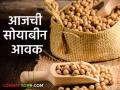 Soyabean Market : नागपूर बाजारात सोयाबीनची सर्वाधिक आवक, तर गंगाखेड बाजारात 'इतके' रुपये भाव मिळाला?  - Marathi News | Latest News Soyabean Market Highest arrival of soybeans in Nagpur market, see todays soyabean bajarbhav | Latest agriculture News at Lokmat.com