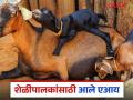 AI For Goat Farming : आता शेळ्यांना योग्य भाव मिळेल, एआय सांगणार अचूक किंमत अन् वजन  - Marathi News | Latest News AI For Goat Farming Now goats will get right price, AI tell exact price and weight | Latest agriculture News at Lokmat.com