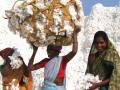 कापूस ते कापड फसलेले स्वप्न - Marathi News | The dream from cotton to cloth | Latest manthan News at Lokmat.com