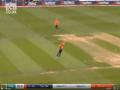 ... अन् त्याने झेल एका हातामध्ये पकडला, व्हिडीओ वायरल - Marathi News | ... and Eoin Morgan took catch in one hand, video viral | Latest cricket News at Lokmat.com