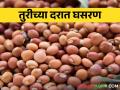 तुरीच्या दरात घसरण; तूर उत्पादक शेतकऱ्यांत संभ्रमाचे वातावरण - Marathi News | A fall in the price of pigeon pea; An atmosphere of confusion among pigeon pea producing farmers | Latest agriculture News at Lokmat.com