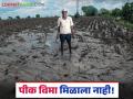 शेतकऱ्यांनी पैसे भरून पीक विम्याचा एक रुपयाही मिळाला नाही, अशावेळी काय करावे?  - Marathi News | Latest News Pik Vima Yojana Farmers Paid for Crop Insurance but Did Not Receive Coverage | Latest agriculture News at Lokmat.com