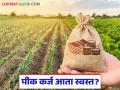 Pik Karja : शेतकऱ्यांना मोठा आर्थिक दिलासा; पीक कर्जासाठी स्टॅम्प ड्युटी रद्द वाचा सविस्तर - Marathi News | latest news Pik Karja: Big financial relief for farmers; Stamp duty abolished for crop loans Read in detail | Latest agriculture News at Lokmat.com