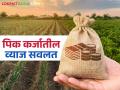 पिक कर्जाच्या व्याज सवलत योजनेत या जिल्ह्यातील शेतकऱ्यांचे ४६ कोटी रुपये अडकले - Marathi News | Farmers of this district are stuck with Rs 46 crore in the crop loan interest subsidy scheme | Latest agriculture News at Lokmat.com