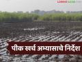 हवामान बदल, महागाईमुळे पिकांचा लागवड खर्च वाढला, राज्य सरकारकडून पीक खर्च अभ्यासाचे निर्देश  - Marathi News | latest news Crop cultivation cost increased due to climate change, inflation, state government directs crop cost study | Latest agriculture News at Lokmat.com