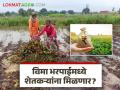 Agriculture News : नुकसान भरपाई पुरेशी नसून पीक विमा भरपाईसुद्धा मिळायला हवी, शेतकरी संकटात - Marathi News | Latest News Agriculture news Injustice in crop insurance compensation! Not even guaranteed price; farmers in crisis | Latest agriculture News at Lokmat.com
