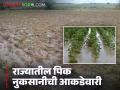 Pik Nuksan : राज्यात साडेपाच लाख हेक्टरवरील पिकांना तडाखा; सर्वाधिक नुकसान 'या' जिल्ह्यात - Marathi News | Pik Nuksan : Crops on five and a half lakh hectares in the state hit; Highest damage in 'this' district | Latest agriculture News at Lokmat.com