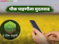 पीक पाहणीला पुन्हा एकदा मुदतवाढ; आता किती तारखेपर्यंत करू शकता पीक पाहणी? - Marathi News | Pik pahani deadline extended once again; Until what date can you conduct pik pahani now? | Latest agriculture News at Lokmat.com