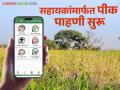 E Peek Pahani : राज्यात १०० टक्के पीक पाहणी होणार; आता सहायकांमार्फत ई-पीक पाहणीला सुरूवात - Marathi News | E Peek Pahani : 100 percent crop inspection will be done in the state; Now e-crop inspection through assistants has started | Latest agriculture News at Lokmat.com