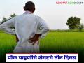 E Pik Pahani : ई पीक पाहणीचे शेवटचे तीन दिवस शिल्लक, नोंदणी न केल्यास काय होईल?  - Marathi News | Latest news Last three days left for e-Peak Survey, Farmers must complete the e-crop inspection by January 24th. | Latest agriculture News at Lokmat.com