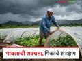 आजपासून पुढील तीन दिवस वादळी पावसाची शक्यता, रब्बी पिकांची अशी करा साठवणूक - Marathi News | Latest News Thunderstorms likely for next three days from today, protect harvested and threshed crops | Latest agriculture News at Lokmat.com