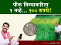 Pik Vima Yojana : पीक विमा योजनेत बनावटगिरी टाळण्यासाठी राज्य समितीने दिल्या ह्या शिफारशी; वाचा सविस्तर - Marathi News | Pik Vima Yojana : What are the recommendations given by the state committee to prevent fraud in the crop insurance scheme? Read in detail | Latest agriculture News at Lokmat.com