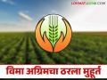 Crop Insurance Advance : शेतकऱ्यांनो 'या' दिवशी मिळणार विमा अग्रिम वाचा सविस्तर - Marathi News | Crop Insurance Advance: Farmers will get insurance advance on 'this' day Read in detail | Latest agriculture News at Lokmat.com