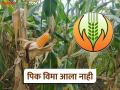 Pik Vima : पीक विमा आला नाही किंवा कमी आला असल्यास काय कराल? वाचा सविस्तर  - Marathi News | Latest news Pik Vima crop insurance is not received or is less Read in detail | Latest agriculture News at Lokmat.com