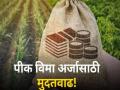 मुदतीत पीक विमा अर्जाचा पाऊस; सातारा जिल्ह्यात तीन लाखांजवळ आकडा !  - Marathi News | 2 lakh 84 thousand applications were received for crop insurance scheme from Satara district | Latest satara News at Lokmat.com