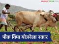 पीक विमा ही सर्व राज्यांसाठी ऐच्छिक याेजना, पंजाब, गुजरातचा नकार, मग महाराष्ट्र का सहभागी?  - Marathi News | Latest news Pik Vima Yojana Crop insurance is voluntary scheme for all states, Punjab, Gujarat refuse, then why is Maharashtra participating | Latest agriculture News at Lokmat.com