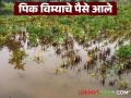 पीकविमा योजनेतून पहिल्या टप्प्यातील नुकसान भरपाई जाहीर; 'या' शेतकऱ्यांना मिळणार लाभ - Marathi News | First phase of compensation announced under crop insurance scheme; 'These' farmers will get benefits | Latest agriculture News at Lokmat.com