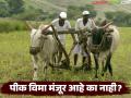 Pik Vima Manjur : तुमचा पीक विमा मंजूर झाला आहे का नाही, दोन मिनिटांत मोबाईलवर कसा पाहायचा?  - Marathi News | Latest News How to check whether your crop insurance has been approved or not on your mobile in two minutes | Latest agriculture News at Lokmat.com