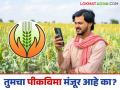 Pik Vima Application : तुमचा पीक विमा अर्ज मंजूर झाला आहे का नाही? दोन मिनिटांत जाणून घ्या  - Marathi News | Latest News Pik Vima Application Has your crop insurance application been approved Find out in two minutes | Latest agriculture News at Lokmat.com