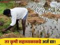 Agriculture News : पीक विमा तक्रारीसाठी टोल फ्री क्रमांक बिझी, कृषी सहाय्यकाकडे अर्ज करा! - Marathi News |  Latest News Apply to Toll Free Number Busy, Agriculture Assistant for Crop Insurance Complaints | Latest agriculture News at Lokmat.com