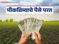 Pik Vima Yojana : अन् खात्यावर चुकून आलेली पिकविम्याची रक्कम परत केली, शेतकऱ्याचे कौतुक  - Marathi News | Latest news Pik Vima Yojana Refund of crop insurance amount mistakenly credited to bank account | Latest agriculture News at Lokmat.com