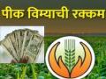पीक विमा: सांगली जिल्ह्यातील ९८ हजार शेतकऱ्यांना २२ कोटी मंजूर - Marathi News | Under the Pradhan Mantri Kharif Crop Insurance Scheme 98 thousand farmers of Sangli district have been approved by insurance companies for Rs 22 crores | Latest sangli News at Lokmat.com