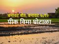 पीक विम्यावर स्वत:चं नाव, सात बारा मात्र बीड नगरपालिकेचा,अशी आहे भानगड - Marathi News | Thousands of acres of crop insurance was taken on the land of Beed municipality itself | Latest agriculture News at Lokmat.com
