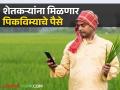 Crop Insurance: नाशिक जिल्ह्यातील शेतकऱ्यांना मिळणार पिकविम्याचे 853 कोटी रुपये; कृषी मंत्र्याची घोषणा - Marathi News | Latest News Pik Vima Yojna Farmers of Nashik district will get Rs 853 crore of crop insurance says dhananjay Munde | Latest agriculture News at Lokmat.com