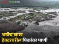 पावणेतीन लाखाहून अधिक शेतकऱ्यांची पिके मातीमोल, नाशिक जिल्ह्यातील परिस्थिती  - Marathi News | Latest News 2 lakh hectar crop damages by rain in Nashik district read in details | Latest agriculture News at Lokmat.com