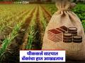 Crop Loan : पीककर्ज वाटपात बँकांचा हात आखडताच; काय आहे कारण वाचा सविस्तर - Marathi News | latest news Crop Loan: Banks are struggling in distributing crop loans; Read the reason in detail | Latest agriculture News at Lokmat.com